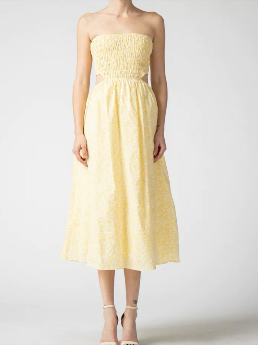 Lena Sleeveless Smocked Floral Yellow Dress - Size Small - Lord & Taylor - Nwot